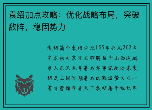袁绍加点攻略：优化战略布局，突破敌阵，稳固势力